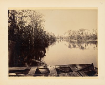 Silver Springs, Florida, Looking Upstream by John K. Hillers