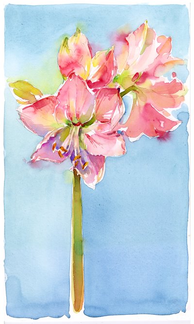 Amaryllis with aqua background, 2015 by John Keeling