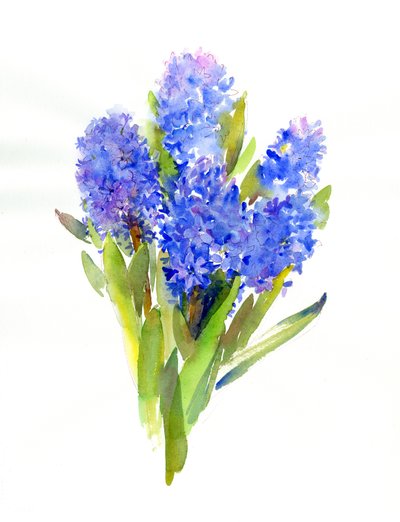 Blue Hyacinth, 2014 by John Keeling