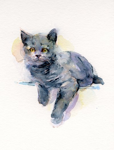 Grey kitten, 2017 by John Keeling