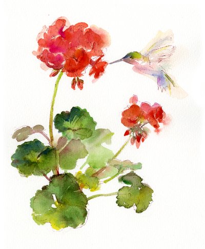 Hummingbird with Geranium by John Keeling