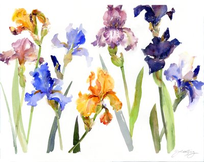 Iris by John Keeling