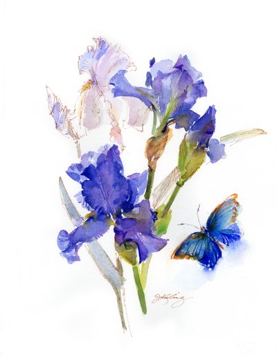 Iris with blue butterfly, 2016 by John Keeling