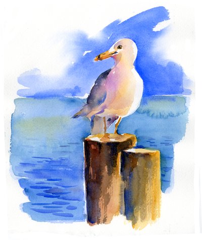 Seagull on dock by John Keeling