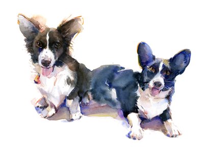 Two Corgis, 2015 by John Keeling