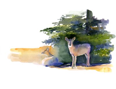 Two Deer, 2014 by John Keeling