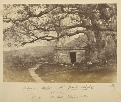Valonea Oaks with Greek Chapel above, B.H. Renkioi, Dardanelles by John Kirk