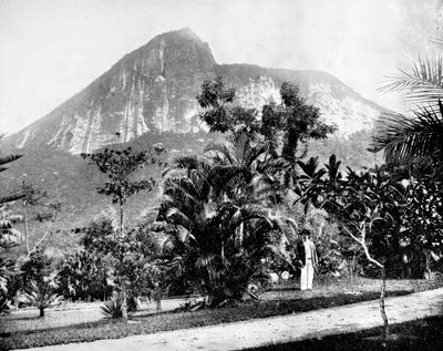 Botanical Gardens and Mount Corcovado, Rio De Janeiro, Brazil by John L. Stoddard