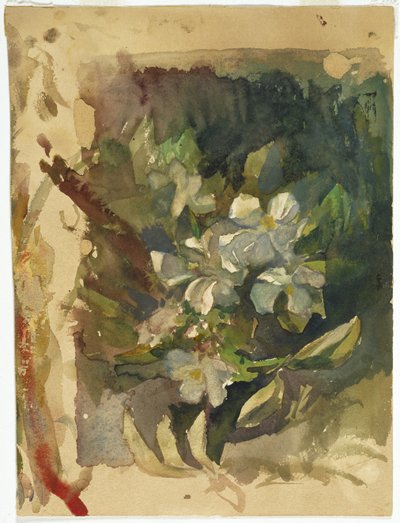 Apple Blossoms in Sunlight by John La Farge or Lafarge