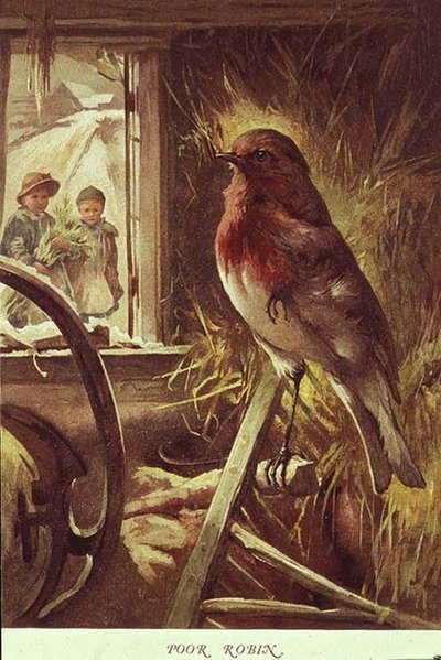 Poor Robin, Illustration from 