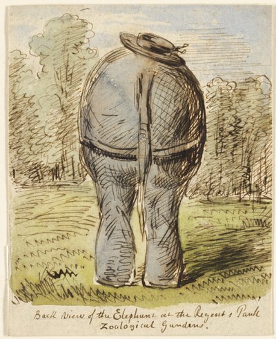 Back View of the Elephant at the Regent