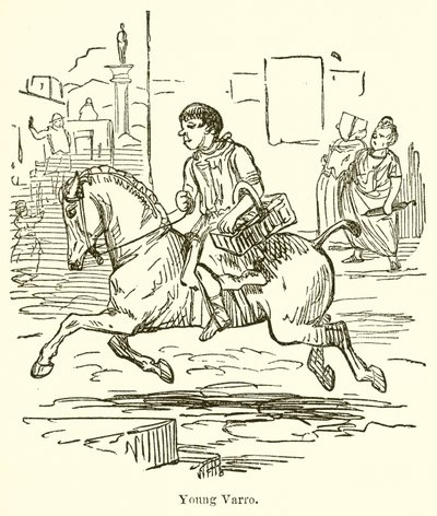 Young Varro by John Leech