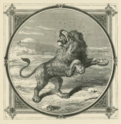 The Gnat stings the eyes of the Lion by John Leighton