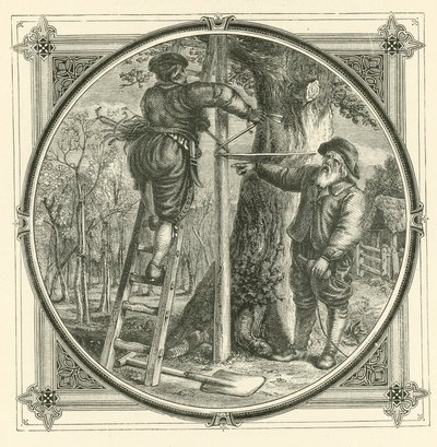 The branches may be trained, but not the trunk by John Leighton
