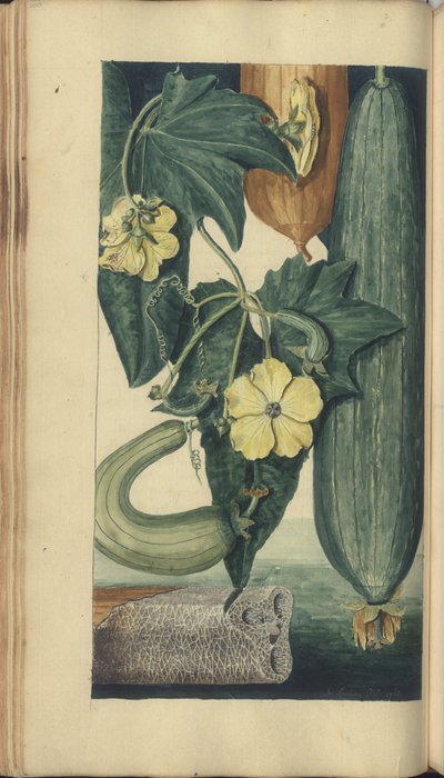 A page from the 