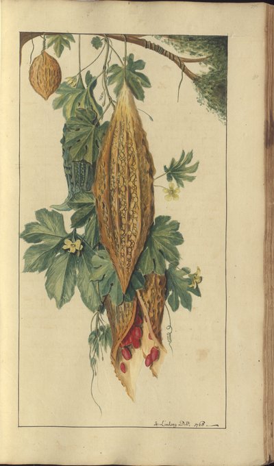 A Page from the 