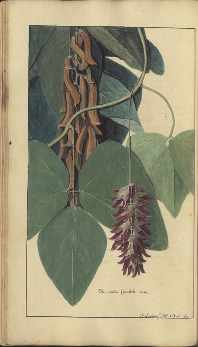 A page from the 