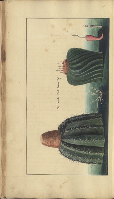 A page from the 