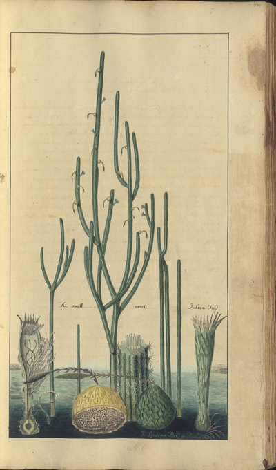 A page from the 