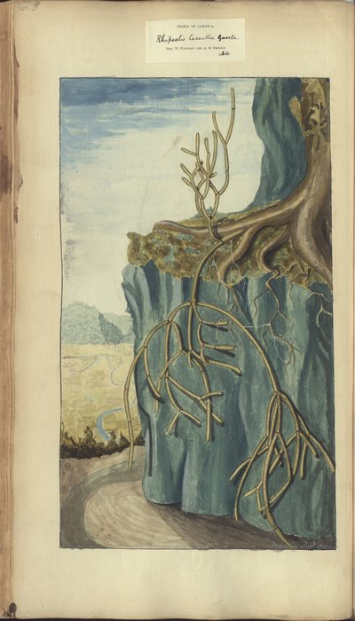 A page from the 