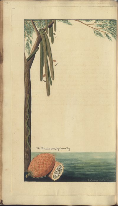 A page from the 