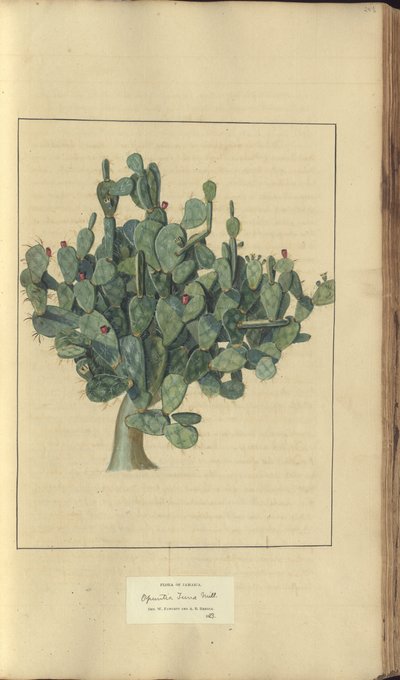A page from the 