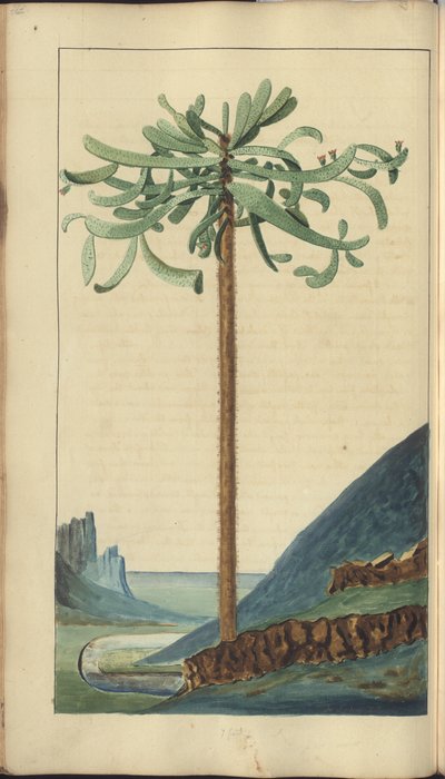 A page from the 
