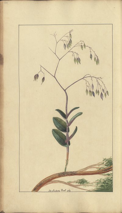 A page from the 