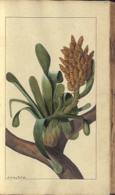 A page from the 