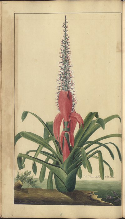 A page from the 