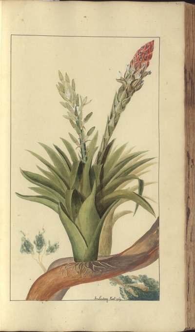 A page from the 