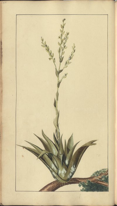A page from the 