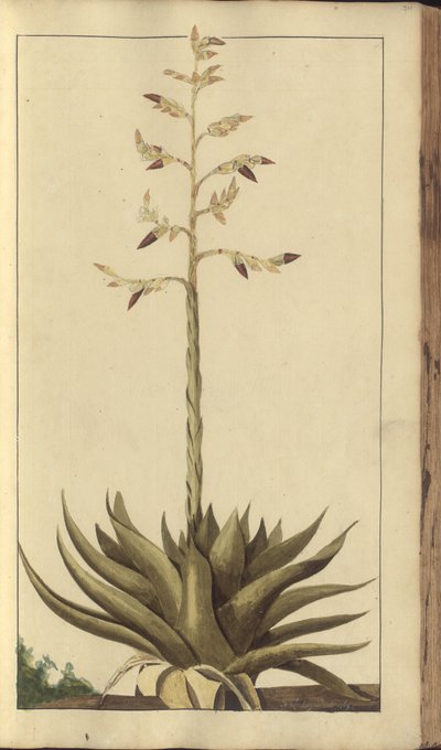 A page from the 