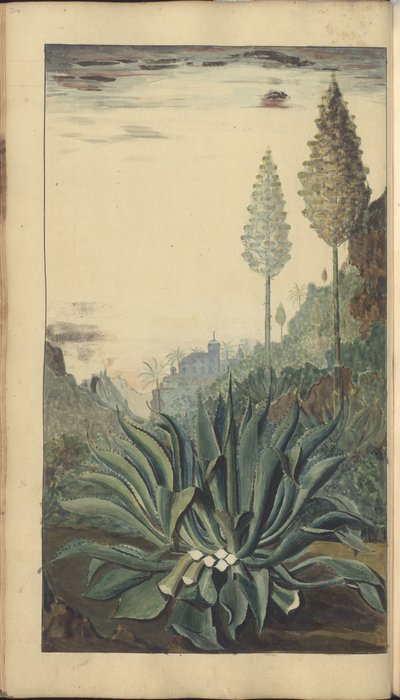 A page from the 