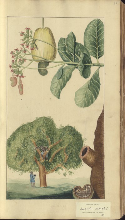 A page from the 