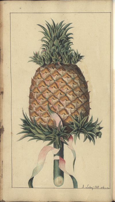 A page from the 