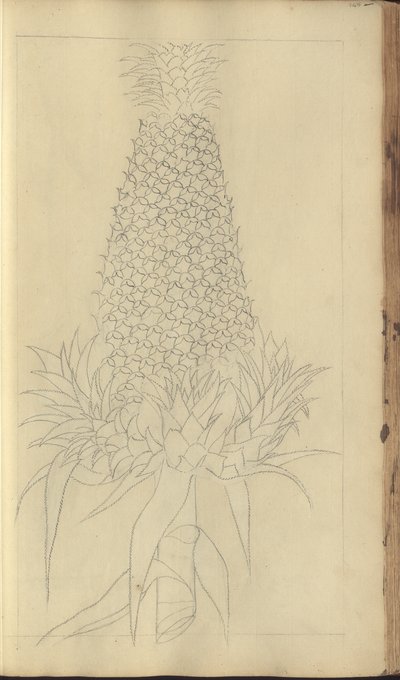 A page from the 