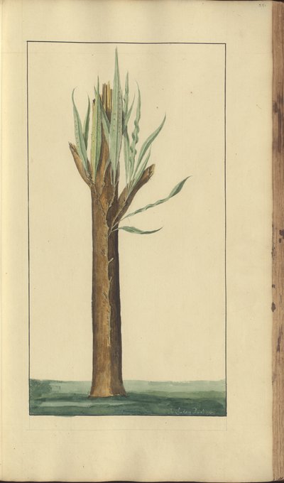 A page from the 