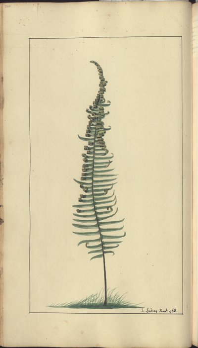 A page from the 