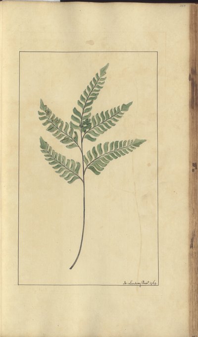 A page from the 