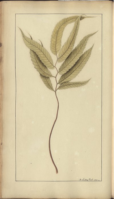 A page from the 