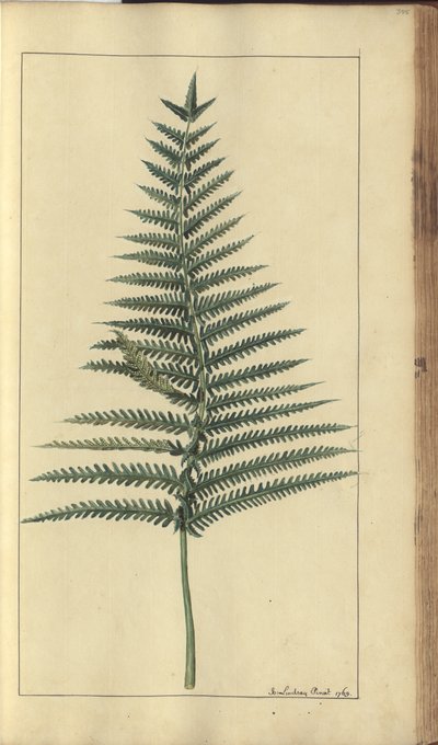 A page from the 