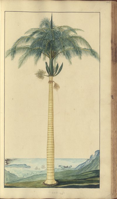 A page from the 