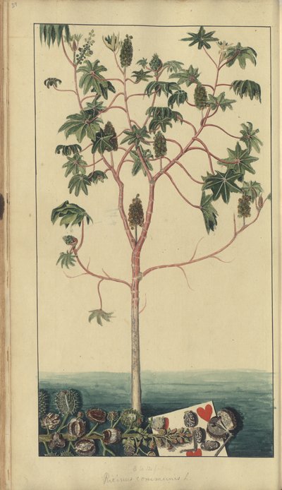 A page from the 