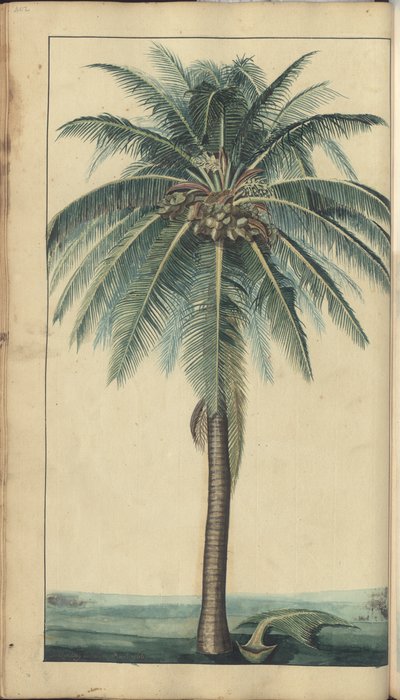 A Page from the 