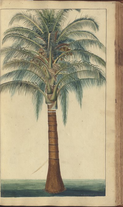 A Page from the 