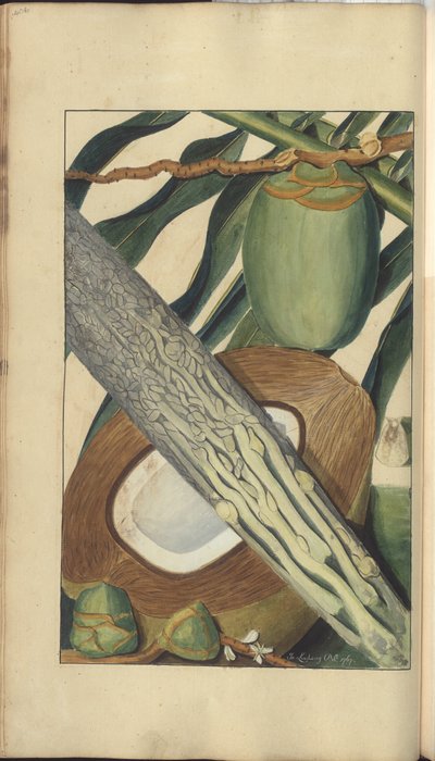 A Page from the 