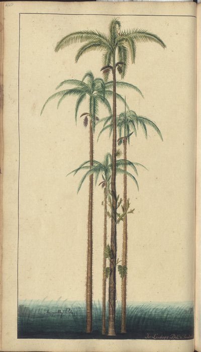 A page from the 