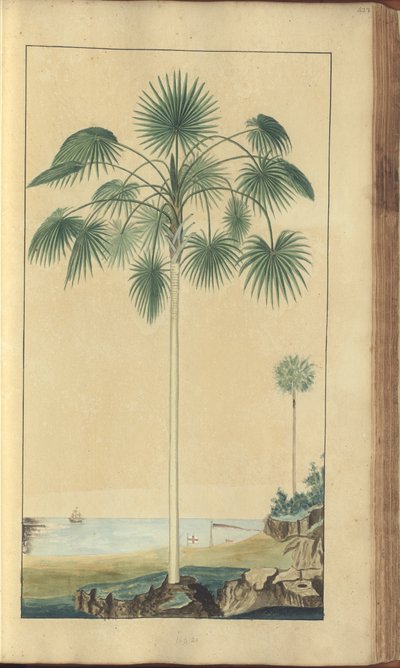 A page from the 