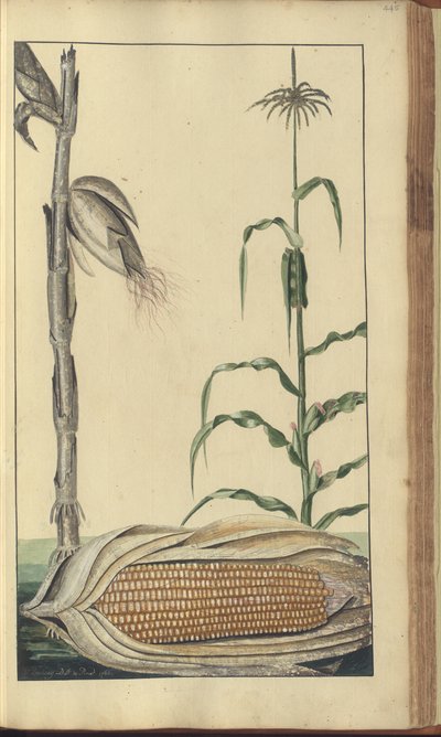 A page from the 